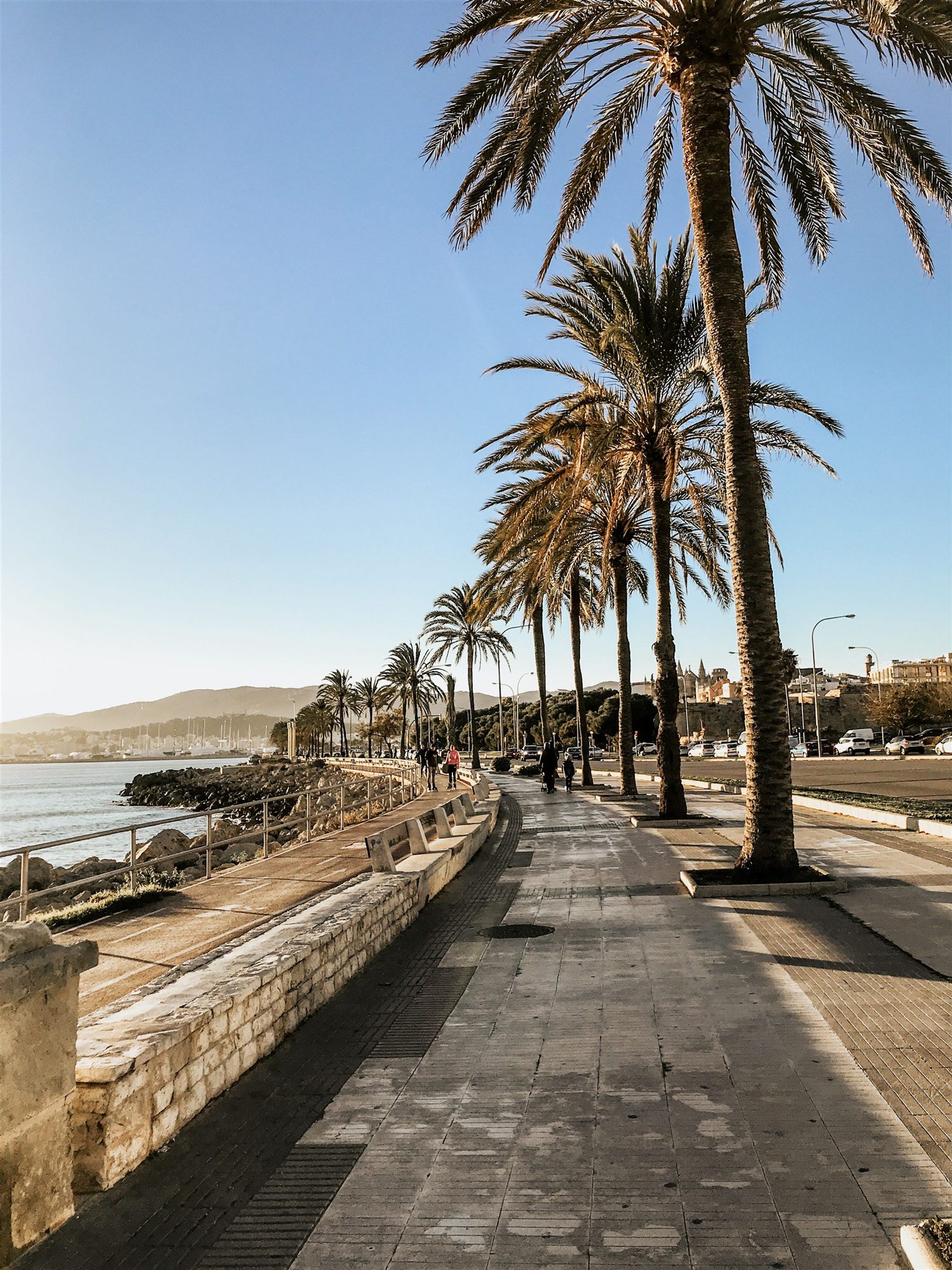 Passeig marítim amb palmeres a primera hora